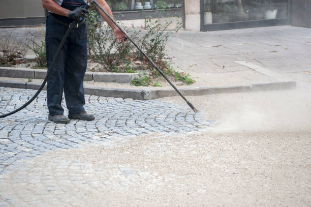 Best Sidewalk and Walkway Cleaning  in Fraser, MI